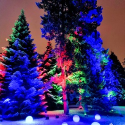 09.12.2021 Botanischer Garten 