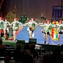 Prunksitzung in Braunschweig